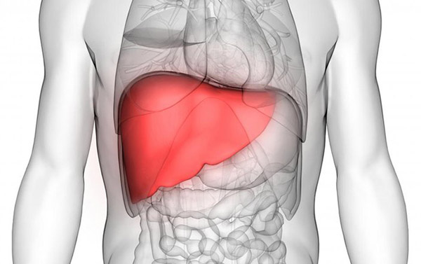 Tình trạng nóng trong người do suy gan gây tích tụ độc tố dẫn đến nổi mẩn đỏ 
